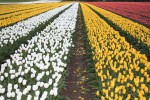 [Field 019 (2).jpg]